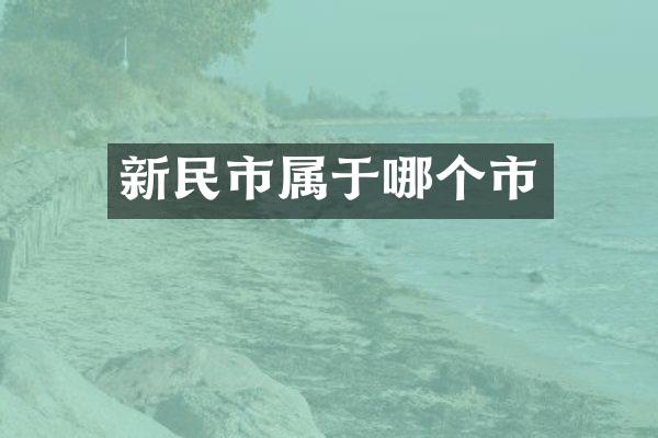 新民市属于哪个市