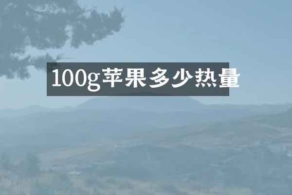 100g苹果多少热量