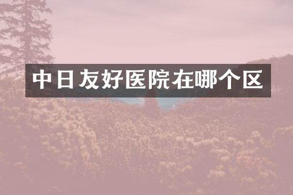 中日友好医院在哪个区