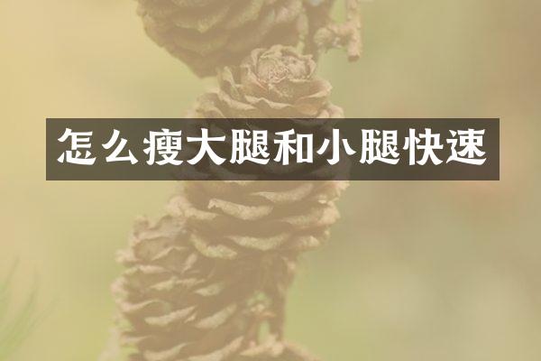 怎么瘦大腿和小腿快速