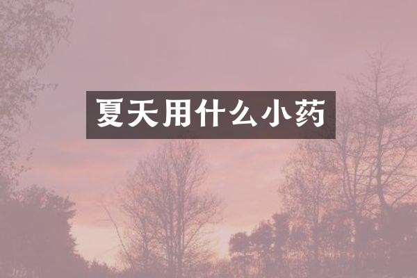 夏天用什么小药