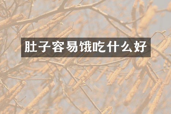 肚子容易饿吃什么好