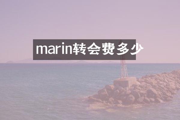 marin转会费多少