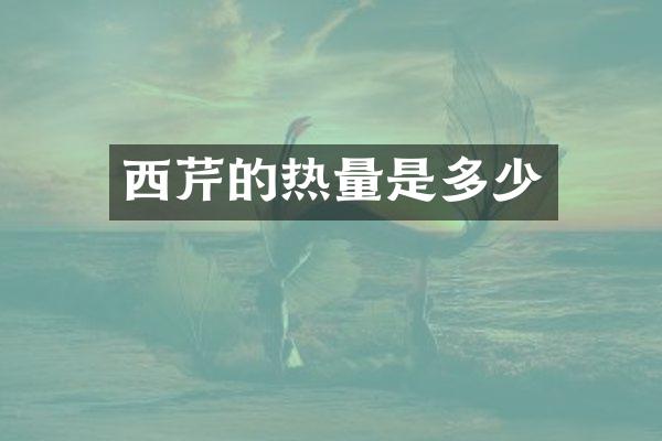 西芹的热量是多少