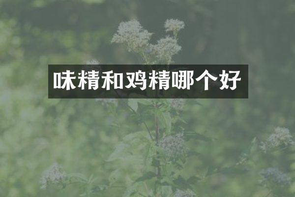 味精和鸡精哪个好