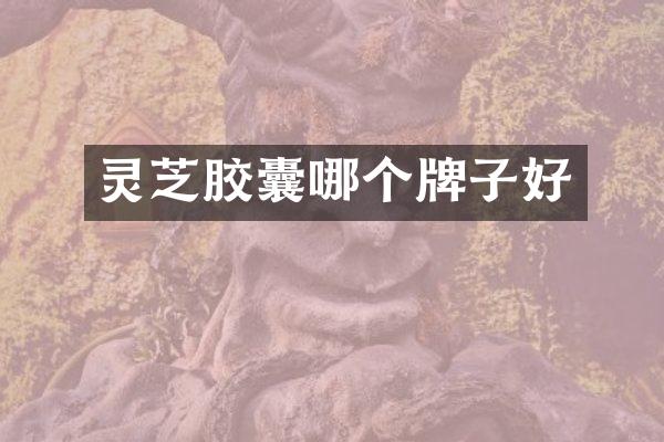 灵芝胶囊哪个牌子好