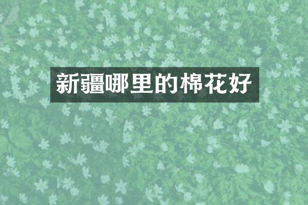 新疆哪里的棉花好
