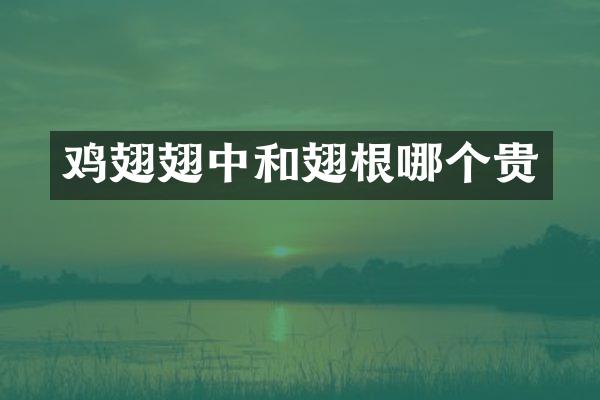 鸡翅翅中和翅根哪个贵