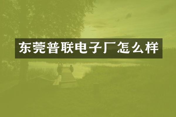 东莞普联电子厂怎么样