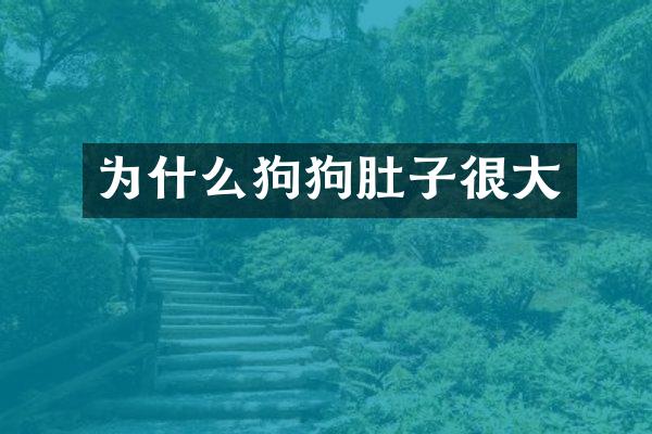 为什么狗狗肚子很大