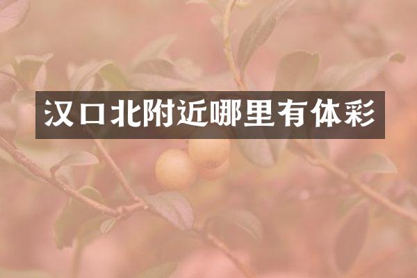 汉口北附近哪里有体彩
