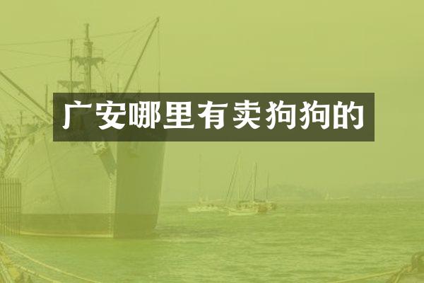 广安哪里有卖狗狗的