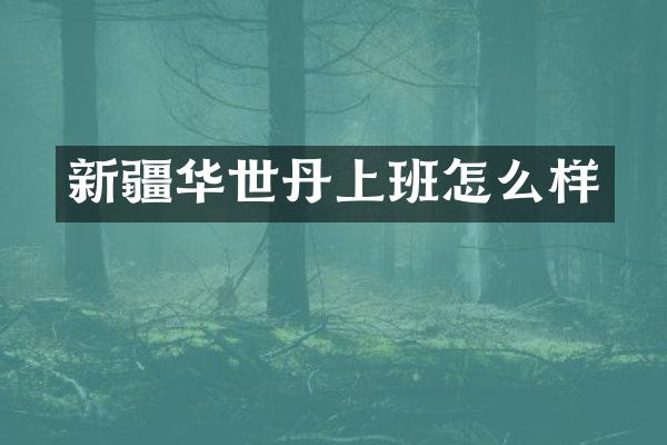 新疆华世丹上班怎么样