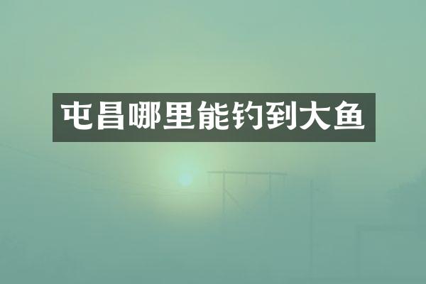 屯昌哪里能钓到大鱼