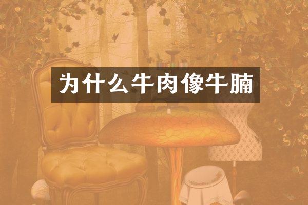 为什么牛肉像牛腩