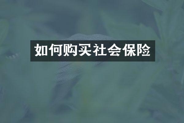 如何购买社会保险