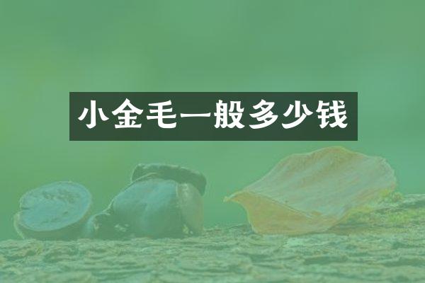 小金毛一般多少钱