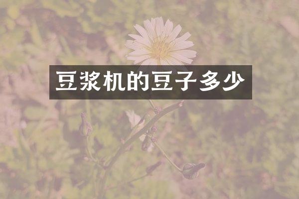 豆浆机的豆子多少