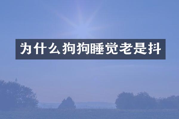 为什么狗狗睡觉老是抖