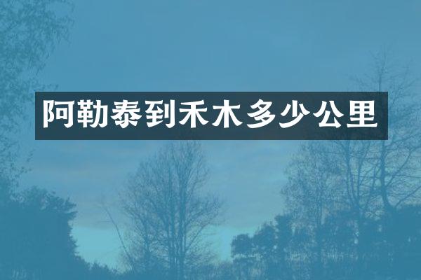 阿勒泰到禾木多少公里