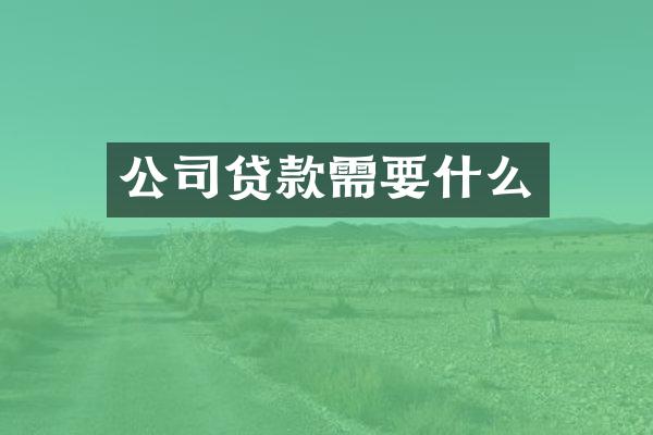 公司贷款需要什么