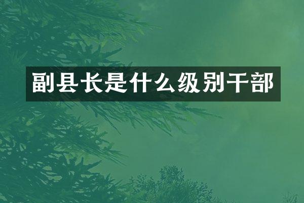 副县长是什么级别干部
