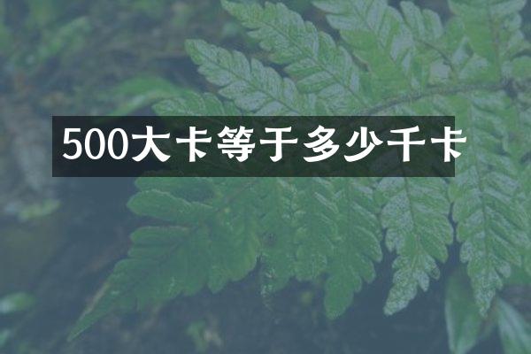 500大卡等于多少千卡