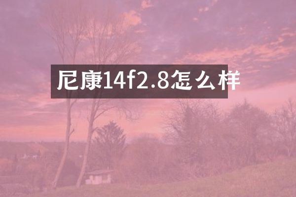 尼康14f2.8怎么样