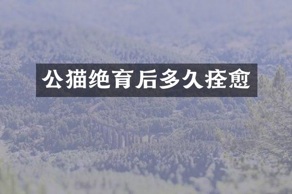 公猫绝育后多久痊愈