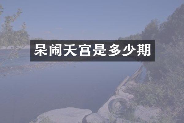 呆闹天宫是多少期