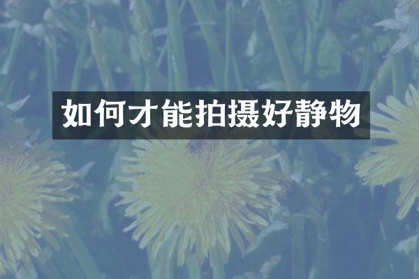 如何才能拍摄好静物