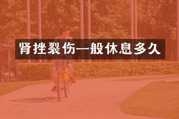 肾挫裂伤一般休息多久
