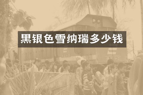 黑银色雪纳瑞多少钱