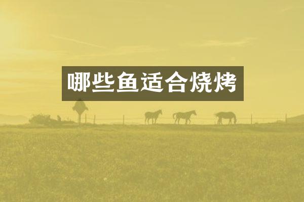 哪些鱼适合烧烤