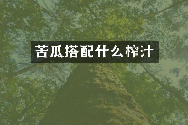 苦瓜搭榨汁