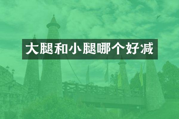 大腿和小腿哪个好减