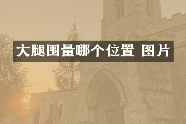 大腿围量哪个位置 图片