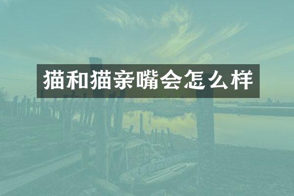 猫和猫亲嘴会怎么样