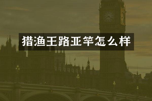 猎渔王路亚竿怎么样