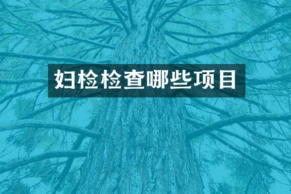 妇检检查哪些项目