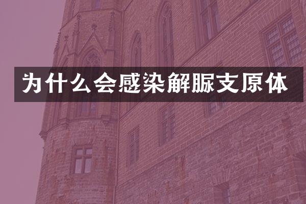 为什么会感染解脲支原体