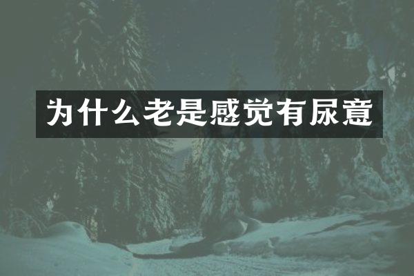 为什么老是感觉有尿意