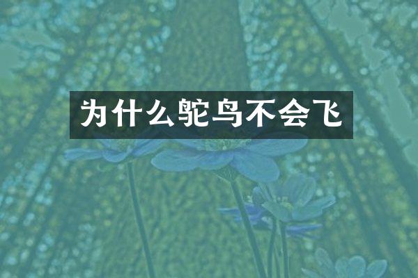 为什么鸵鸟不会飞