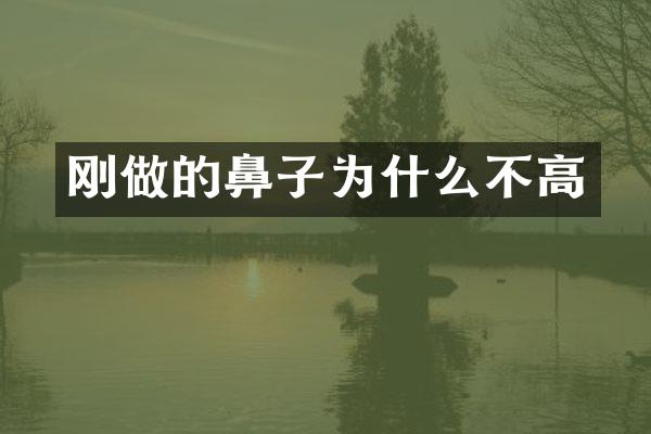 刚做的鼻子为什么不高