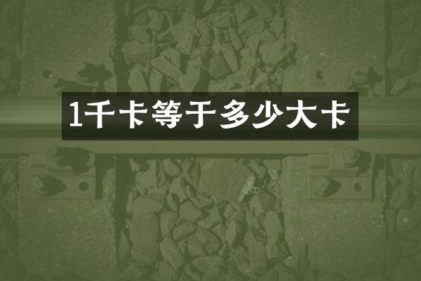 1千卡等于多少大卡
