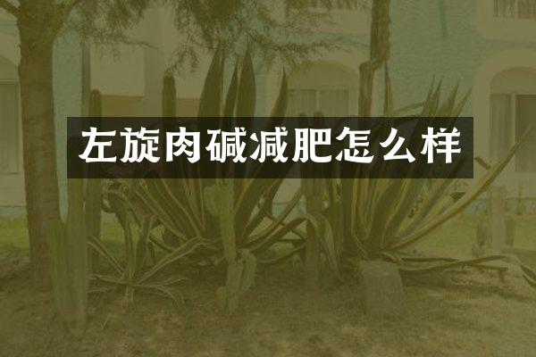 左旋肉碱减肥怎么样