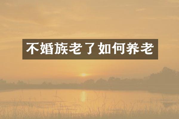 不婚族老了如何养老