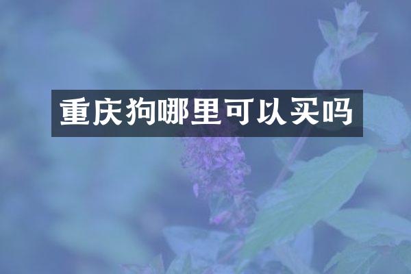 重庆狗哪里可以买吗