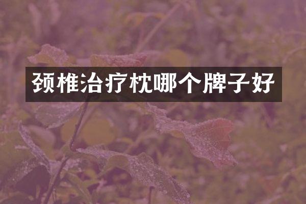 颈椎治疗枕哪个牌子好