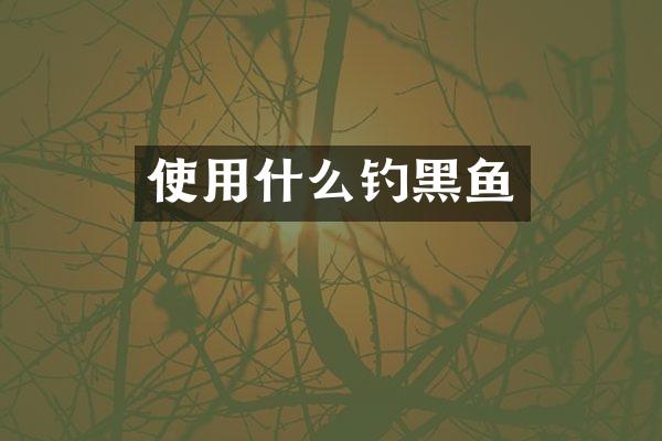 使用什么钓黑鱼